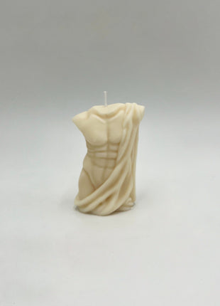 Covered Male Torso Mould
